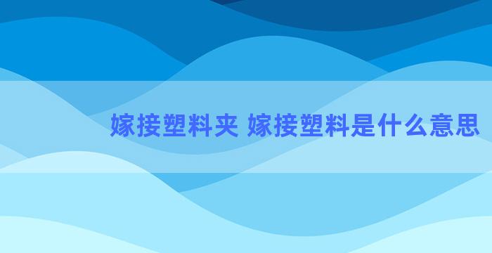 嫁接塑料夹 嫁接塑料是什么意思